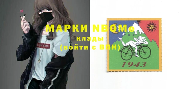 прущие грибы Армянск