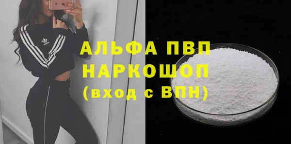 прущие грибы Армянск