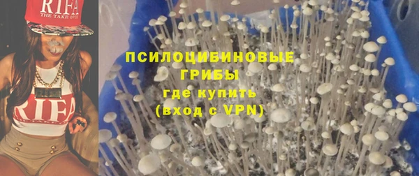 прущие грибы Армянск