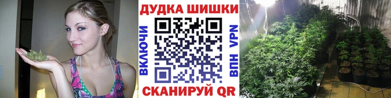 Конопля SATIVA & INDICA цены Малая Вишера